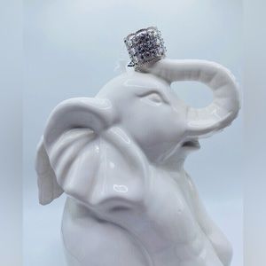 NWT Zirconium Over Sterling Silver Ring